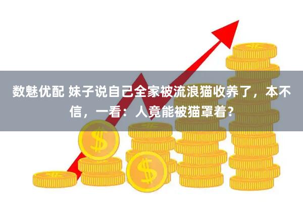 数魅优配 妹子说自己全家被流浪猫收养了，本不信，一看：人竟能被猫罩着？
