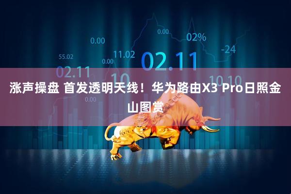 涨声操盘 首发透明天线！华为路由X3 Pro日照金山图赏