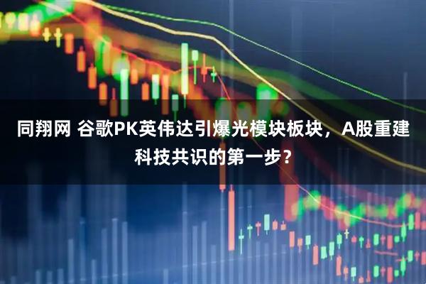 同翔网 谷歌PK英伟达引爆光模块板块，A股重建科技共识的第一步？
