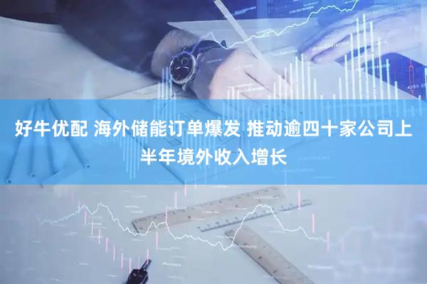 好牛优配 海外储能订单爆发 推动逾四十家公司上半年境外收入增长