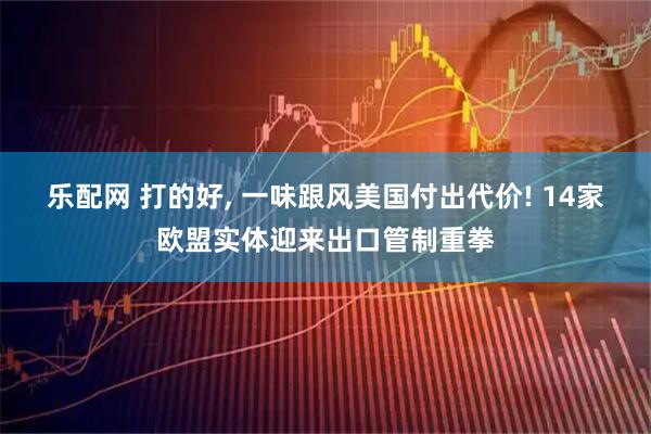 乐配网 打的好, 一味跟风美国付出代价! 14家欧盟实体迎来出口管制重拳